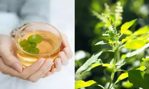 Long-Tulsi Ka Pani Peene Ke Fayde: भूख नहीं लगती तो पिएं लौंग और तुलसी का पानी, मिलेंगे ये फायदे