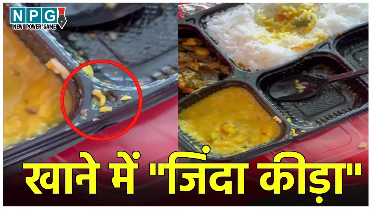 CG News: फॉरेस्ट गार्ड भर्ती में बड़ी लापरवाही, ड्यूटी में तैनात जवान के खाने में निकला जिंदा कीड़ा, डीएफओ ने दिया ये तर्क