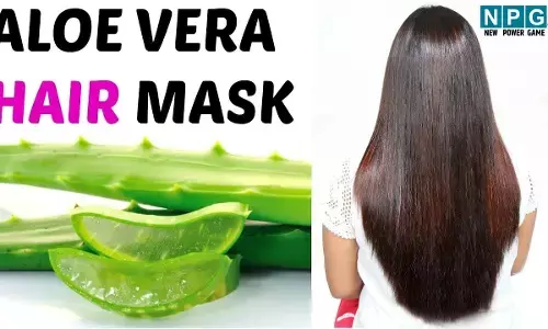 Winter Hair Care: सर्दी में बाल झड़ रहे हैं पतझड़ की तरह? ये सात तरह के हेयर मास्क तेजी से रोकेंगे बालों का झड़ना...