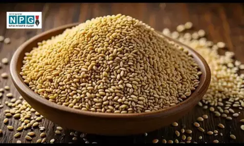 Sesame Seeds Benefits: सर्दियों में तिल के सेवन से होंगे ये अद्भुत फायदे, जानिए राजीव दीक्षित के टिप्स