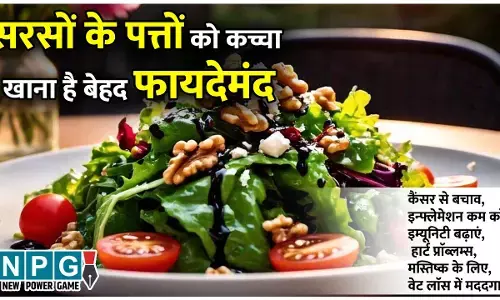 Benefits Of Eating Raw Mustard Greens: सरसों के साग से ज्यादा फायदेमंद है सरसों के पत्तों को कच्चा चबाकर खाना, जानिए सरसों पत्ते के सलाद के कमाल के फायदे...