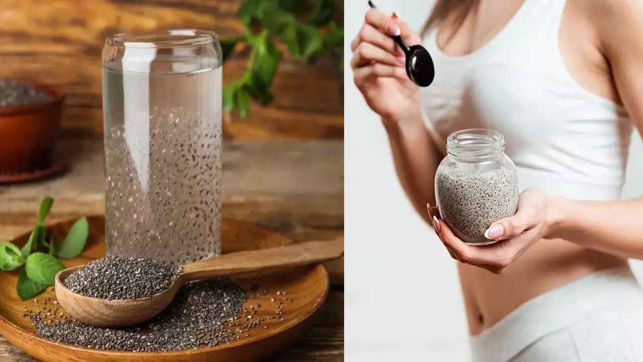 BENEFITS OF CHIA SEEDS: चिया सीड्स वजन घटाने में मददगार, विटामिन और मिनरल्स से भरपूर, जानें फायदें...