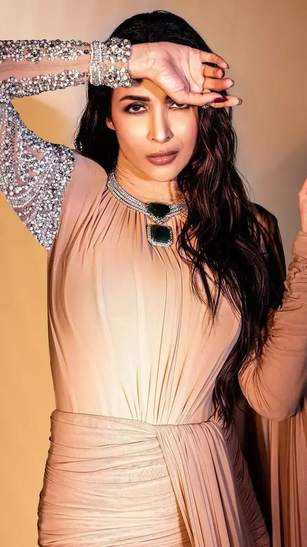 स्टाइलिश गाउन में Malaika Arora को देख फैंस के दिलों की बढ़ी धड़कनें, देखिए...