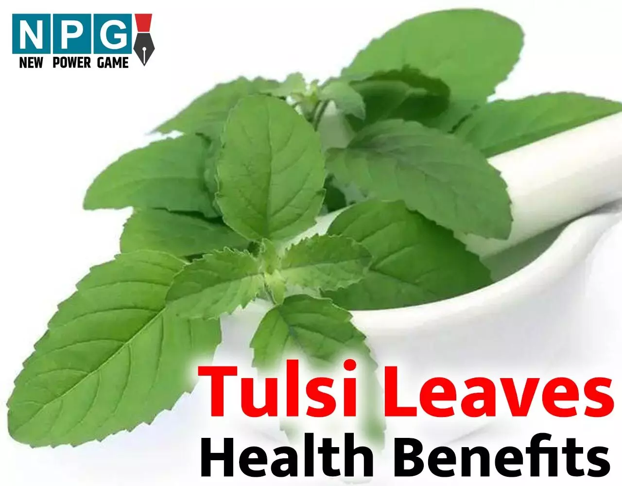 Tulsi Leaves Health Benefits: अतुलनीय है तुलसी,माँ की तरह रखती है ख्याल, ऐसे करेंगे इस्तेमाल तो ढेरों रोग रहेंगे दूर...