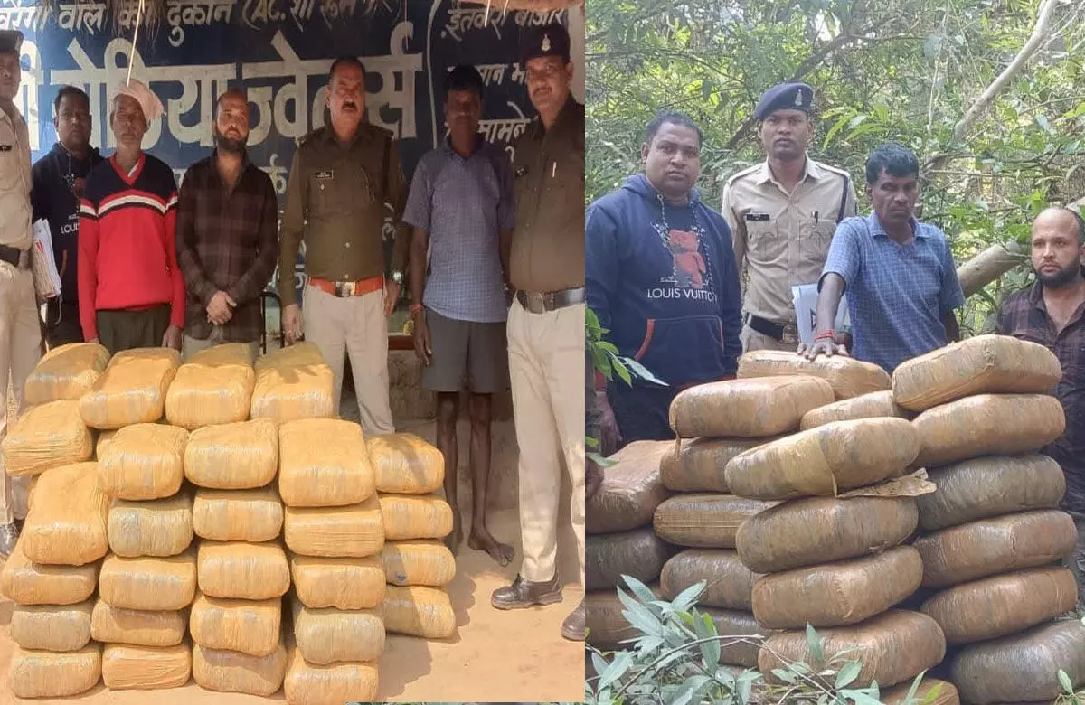 Chhattisgarh News: दुर्घटनाग्रस्त गाड़ी में था 34 लाख का गांजा, एक्सीडेंट के बाद ड्रायवर ने झाड़ियों में छुपाया, पुलिस ने ऐसे पकड़ा... Chhattisgarh News: दुर्घटनाग्रस्त गाड़ी में था 34 लाख का गांजा, एक्सीडेंट के बाद ड्रायवर ने झाड़ियों में छुपाया, पुलिस ने ऐसे पकड़ा...