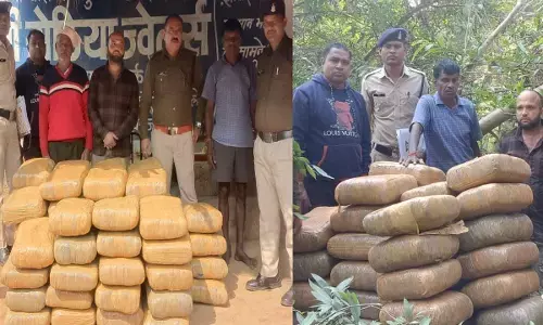 Chhattisgarh News: दुर्घटनाग्रस्त गाड़ी में था 34 लाख का गांजा, एक्सीडेंट के बाद ड्रायवर ने झाड़ियों में छुपाया, पुलिस ने ऐसे पकड़ा...