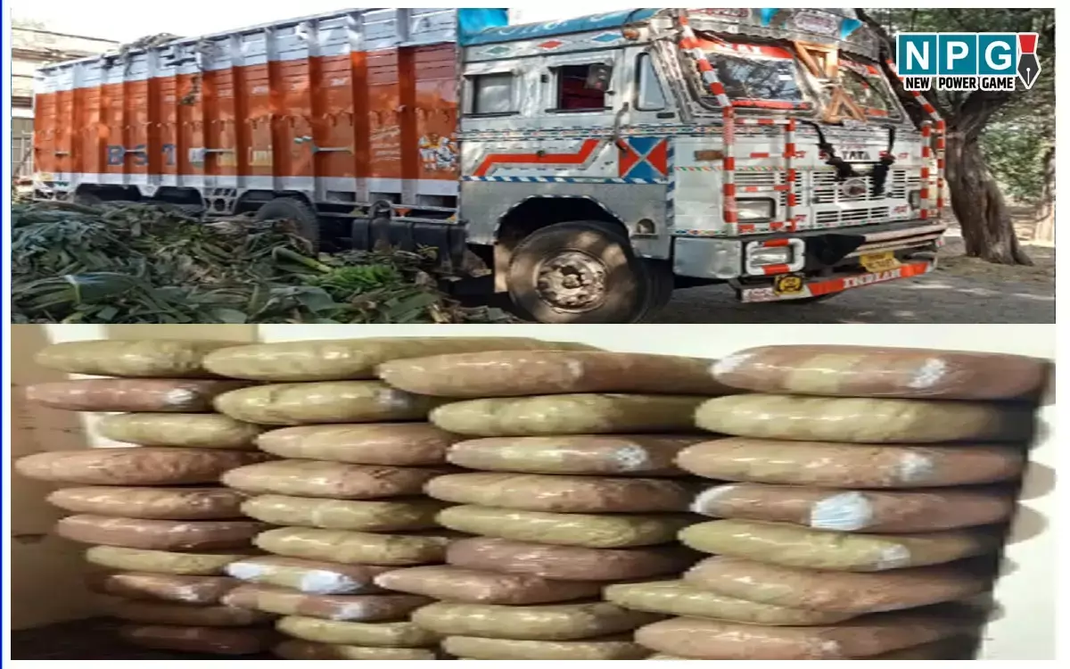 Chhattisgarh News: 32 लाख का गांजा पकड़ाया, ट्रक के अंदर बना रखे थे गुप्त चैंबर, आईजी के निर्देश पर ऐसे पकड़ाए