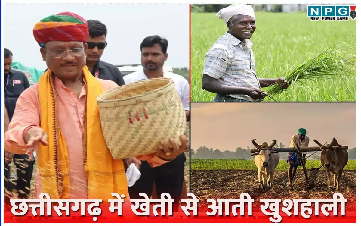 खेती से आती खुशहालीः विष्णु देव साय की सरकार ने कृषि समृद्धि से निकाला खुशहाली का रास्ता, किसानों के चेहरे पर बिखरी रौनक