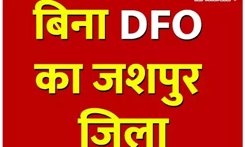 Jashpur: सीएम विष्णुदेव के गृह जिले में महीने भर से DFO नहीं, मगर वन विभाग को परवाह नहीं, प्रोबेशनर के भरोसे VVIP जिला