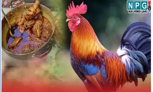 Korba News: छत्तीसगढ़ में मुर्गा-शराब पार्टी के बाद दो की मौत, तीन की हालत गंभीर, मचा हडकंप, पुलिस जाँच में जुटी...