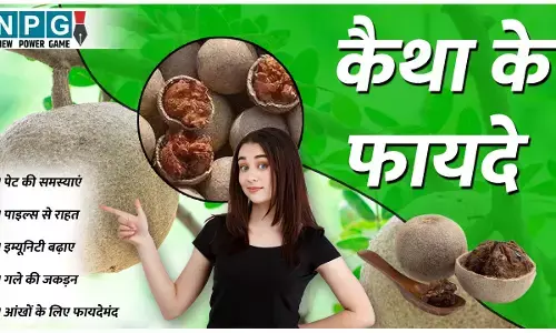 Kaithe Ke Fayde: इस सस्ते फल के है बड़े-बड़े फायदे, पेट की समस्याओं के लिए रामबाण, इम्यूनिटी भी बढ़ाए...
