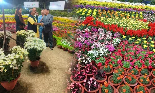 Jindal Steel & Power Limited: जिंदल स्टील एंड पावर लिमिटेड एवं प्रकृति की ओर सोसाइटी द्वारा पुष्प,फल,सब्जी की प्रदर्शिनी का भव्य शुभारंभ...