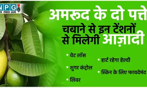 Guava Leaves For Diabetes: अमरूद के दो पत्ते चबाने भर से शुगर बढ़ने की टेंशन से मिलेगी आज़ादी, जानिए क्या बताती है रिसर्च...
