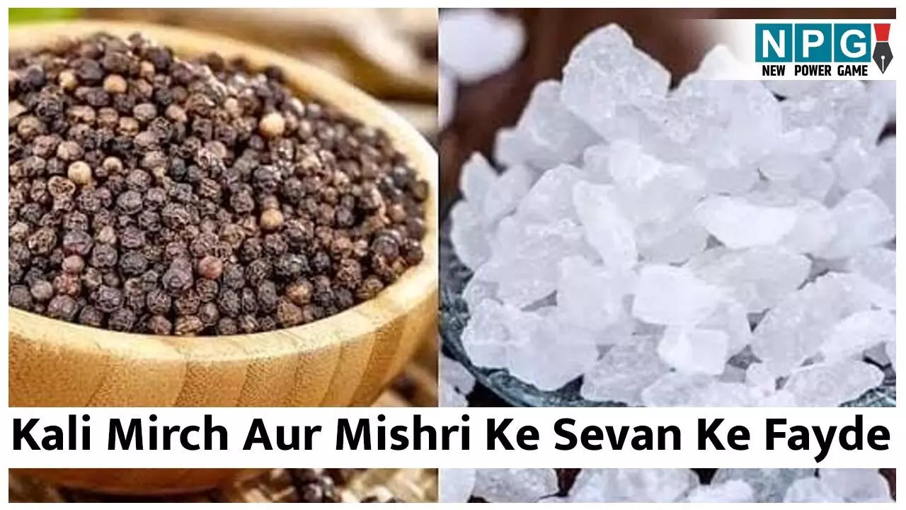 Kali Mirch Aur Mishri Ke Sevan Ke Fayde: काली मिर्च और मिश्री का साथ में सेवन है बहुत गुणकारी, सर्दी में मिलेगी कफ से राहत, विटामिन बी 12 की भी होगी पूर्ति... Kali Mirch Aur Mishri Ke Sevan Ke Fayde: काली मिर्च और मिश्री का साथ में सेवन है बहुत गुणकारी, सर्दी में मिलेगी कफ से राहत, विटामिन बी 12 की भी होगी पूर्ति...