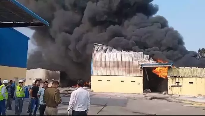 CG: प्लांट में भीषण आग, एक कर्मचारी घायल, आग पर... ... Chhattisgarh Top News Today: राष्‍ट्रपति पदक की घोषणा और नेटवर्क मार्केटिंग वाले मास्‍टर सस्‍पेंड... सहित पढ़ें दिनभर की प्रमुख खबरें...