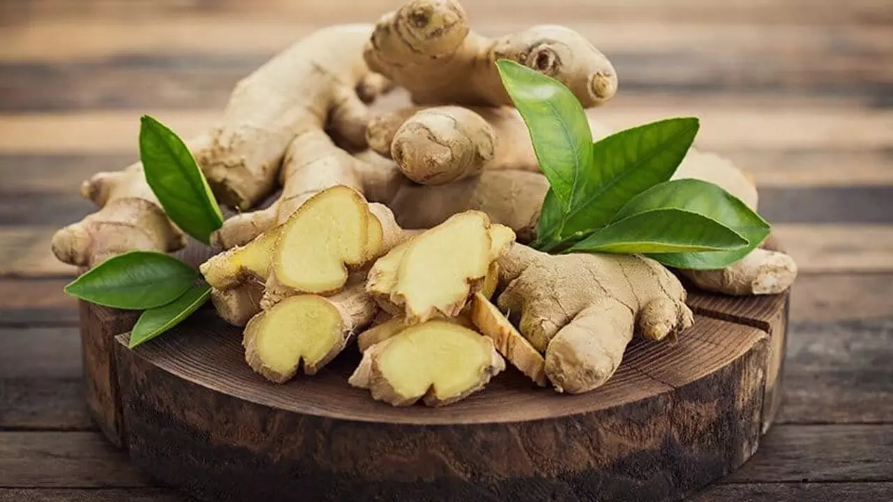 Side Effects Of Ginger: हर दिन इतने ग्राम से ज्यादा अदरक का इस्तेमाल बढ़ा सकता है परेशानियां, जानिए किन लोगों को है ज्यादा खतरा...