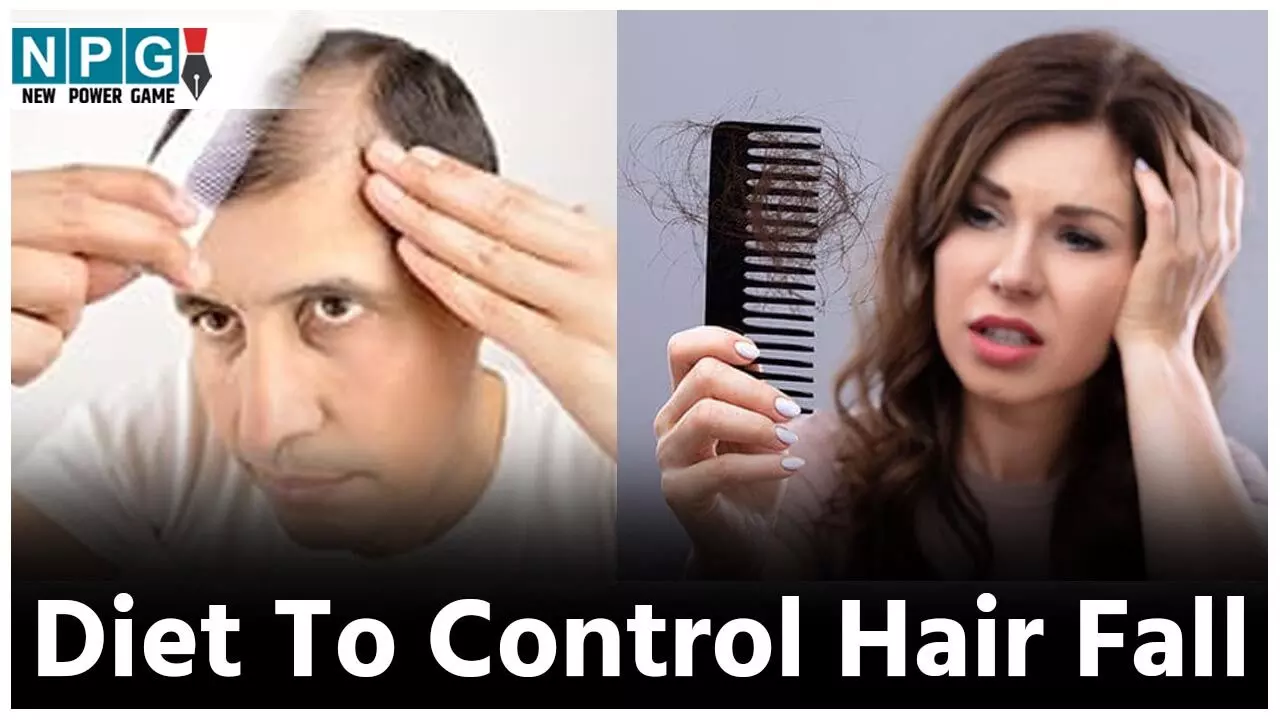 Diet To Control Hair Fall: तेल के फेर में न रहें,बालों का झड़ना रोकने के लिए डाइट में तुरंत शामिल करें ये चीज़ें, पक्का रुकेगा हेयर फाॅल...