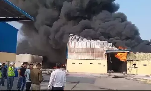 Raipur News: प्लांट में भीषण आग, एक कर्मचारी घायल, आग पर काबू पाने का काम जारी...