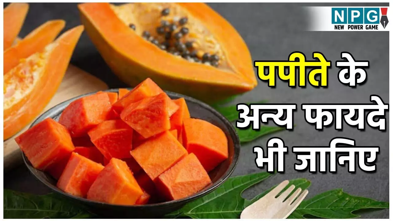 Is Papaya Good For Diabetes: क्या डायबिटीज़ के पेशेंट्स पपीता खा सकते हैं? खाएं तो कितना? पपीते के अन्य फायदे भी जानिए... Is Papaya Good For Diabetes: क्या डायबिटीज़ के पेशेंट्स पपीता खा सकते हैं? खाएं तो कितना? पपीते के अन्य फायदे भी जानिए...