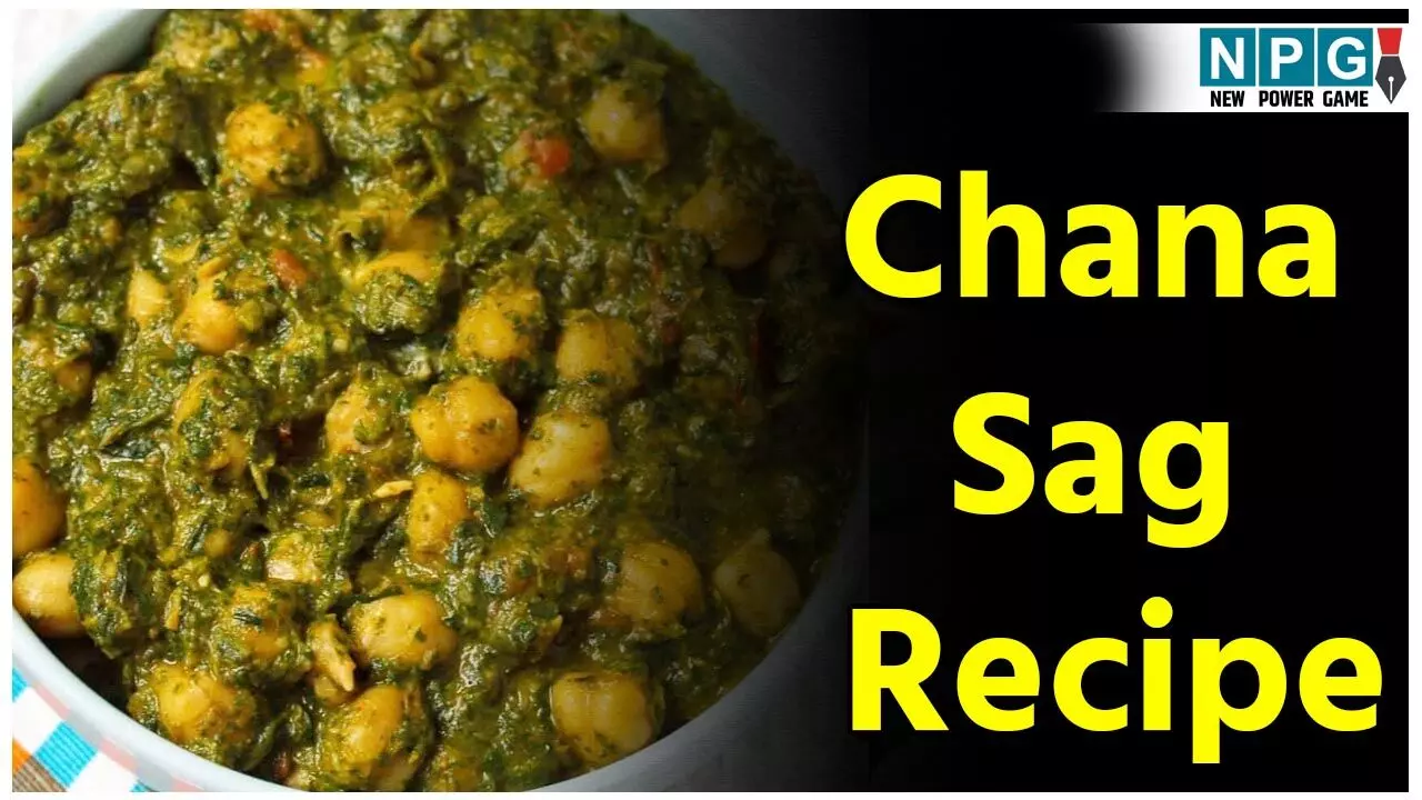 Chana Sag Recipe: बहुत ही हेल्दी और टेस्टी चना साग का मज़ा लीजिए घर में आसानी से, पढ़िए रेसिपी... Chana Sag Recipe: बहुत ही हेल्दी और टेस्टी चना साग का मज़ा लीजिए घर में आसानी से, पढ़िए रेसिपी...