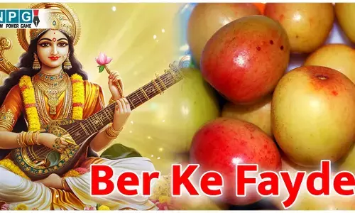 Ber Ke Fayde: माँ सरस्वती को खूब भाते हैं भोग में बेर,आपकी बेटी के लिए भी हैं बेहद फायदेमंद, जानिये बेर के कमाल के फायदे...