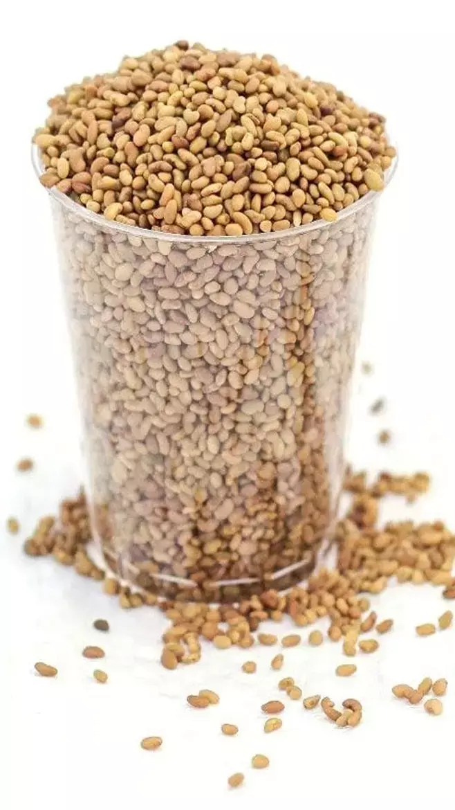 Diet To Control Hair Fall: तेल के फेर में न रहें, बालों का झड़ना रोकने के लिए डाइट में तुरंत शामिल करें ये चीज़ें, पक्का रुकेगा हेयर फाॅल