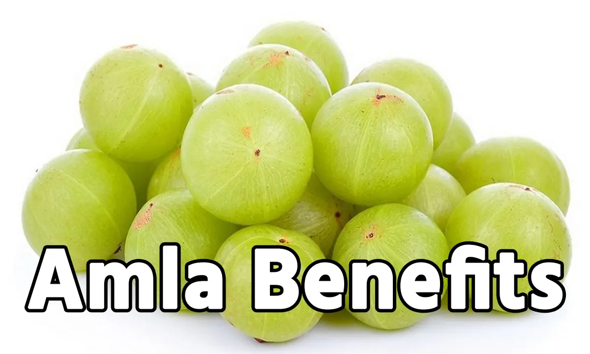 Amla Benefits: ये सुपरफूड है लाखों बीमारियों की देसी दवा, दोगुना बढ़ेगी अंदरूनी ताकत, महिलाओं के लिए है खसकर फायदेमंद. Amla Benefits: ये सुपरफूड है लाखों बीमारियों की देसी दवा, दोगुना बढ़ेगी अंदरूनी ताकत, महिलाओं के लिए है खसकर फायदेमंद.