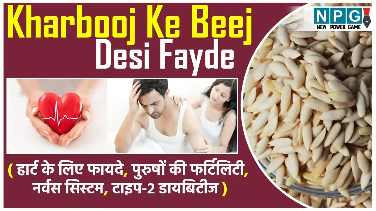 Kharbooj Ke Beej Ke Sevan ke Fayde: प्रोटीन का बढ़िया सोर्स हैं खरबूज के बीज, वजन घटाने से लेकर टाइप टू डायबिटीज़ से बचाने तक जानिये इनके खास फायदे...