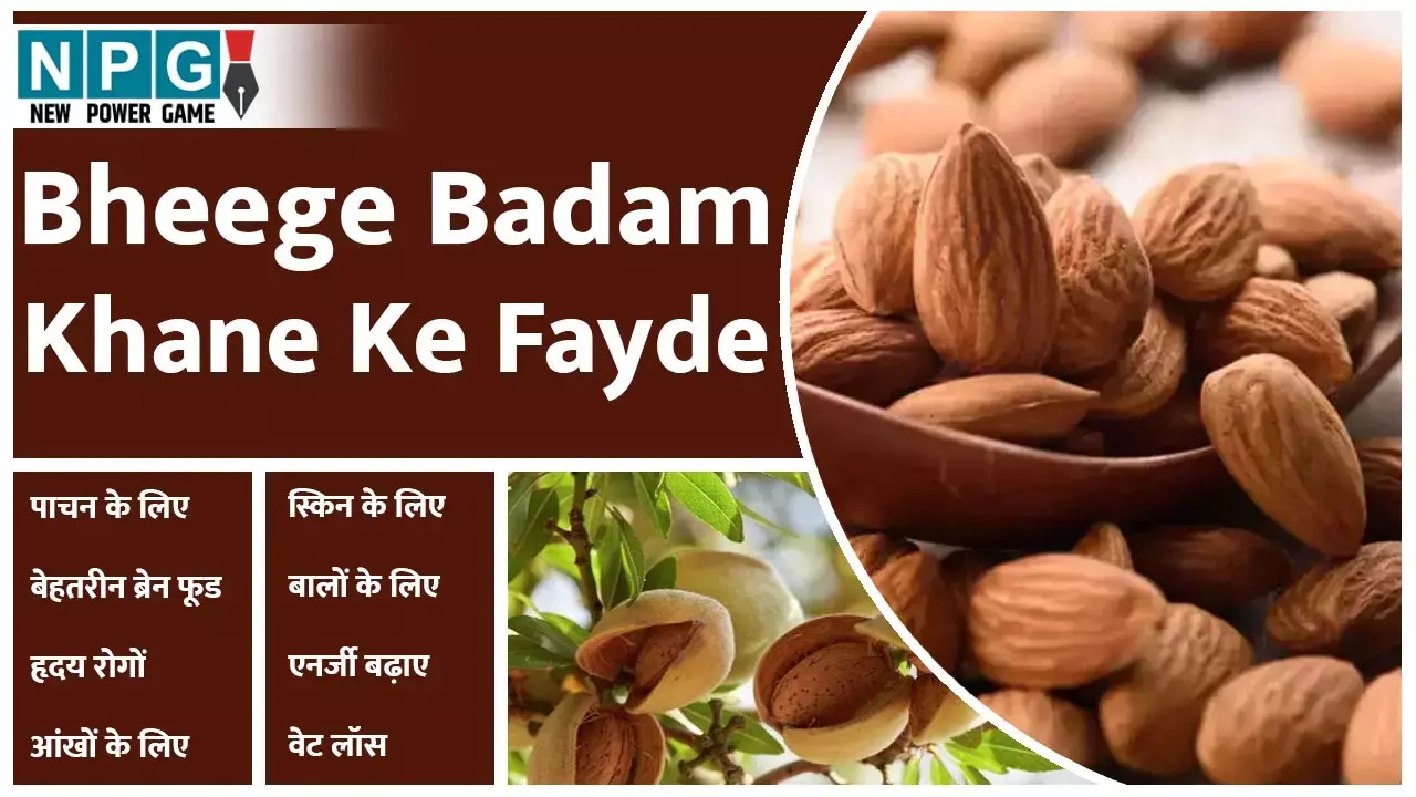 Bheege Badam Khane Ke Fayde: बादाम हैं दमदार, पांच से सात बादाम रोज़ खाइए, दिमाग दौड़ेगा,बीमारियां भागेंगी दूर... Bheege Badam Khane Ke Fayde: बादाम हैं दमदार, पांच से सात बादाम रोज़ खाइए, दिमाग दौड़ेगा,बीमारियां भागेंगी दूर...