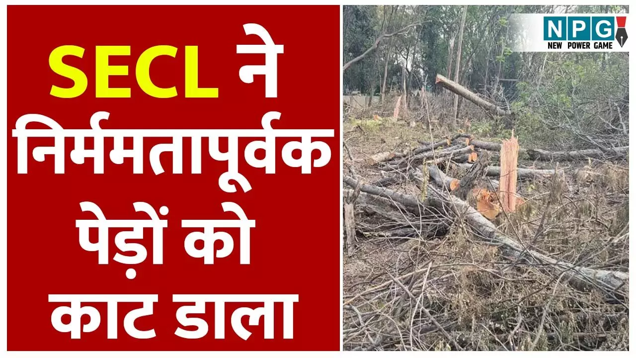 CG News: SDM ने SECL सीएमडी को किया तलब: 3 दिन में हाजिर नहीं, तो होगी एकतरफा कार्रवाई CG News: SDM ने SECL सीएमडी को किया तलब: 3 दिन में हाजिर नहीं, तो होगी एकतरफा कार्रवाई