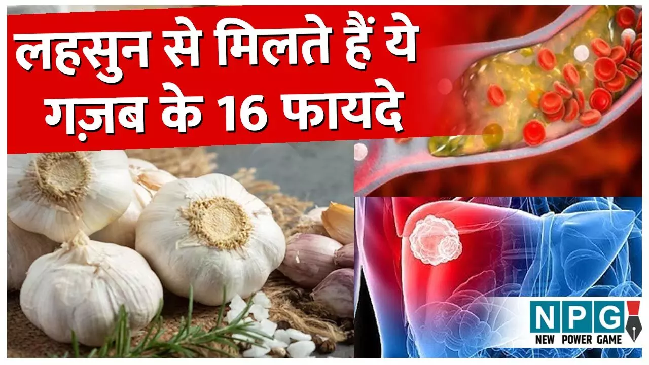 11. लहसून का सेवन है वरदान। महिलाओं के पीरियड से... ... Chhattisgarh Top News Today: नौकरी के झांसे में आधा दर्जन गिरफ्तार, घोटालों की जांच पर नौकरशाही का ब्रेकर, CMD तलब, CM ने लिखा मंत्रियों को पत्र... समेत देखिए दिन भर की बड़ी खबरें...