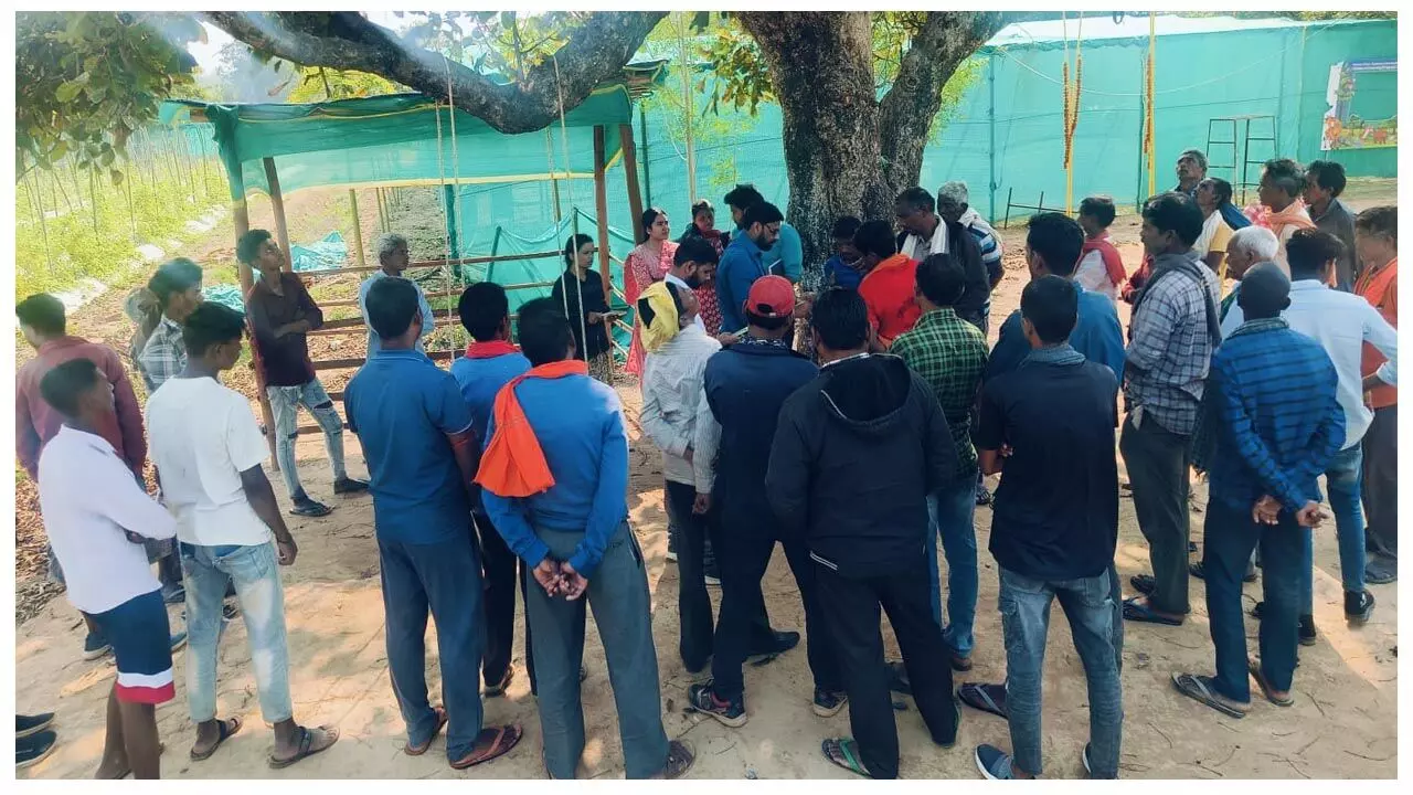 BALCO News: मोर जल मोर माटी ने लाख की खेती के माध्यम से ग्रामीण आय को दिया बढ़ावा... BALCO News: मोर जल मोर माटी ने लाख की खेती के माध्यम से ग्रामीण आय को दिया बढ़ावा...