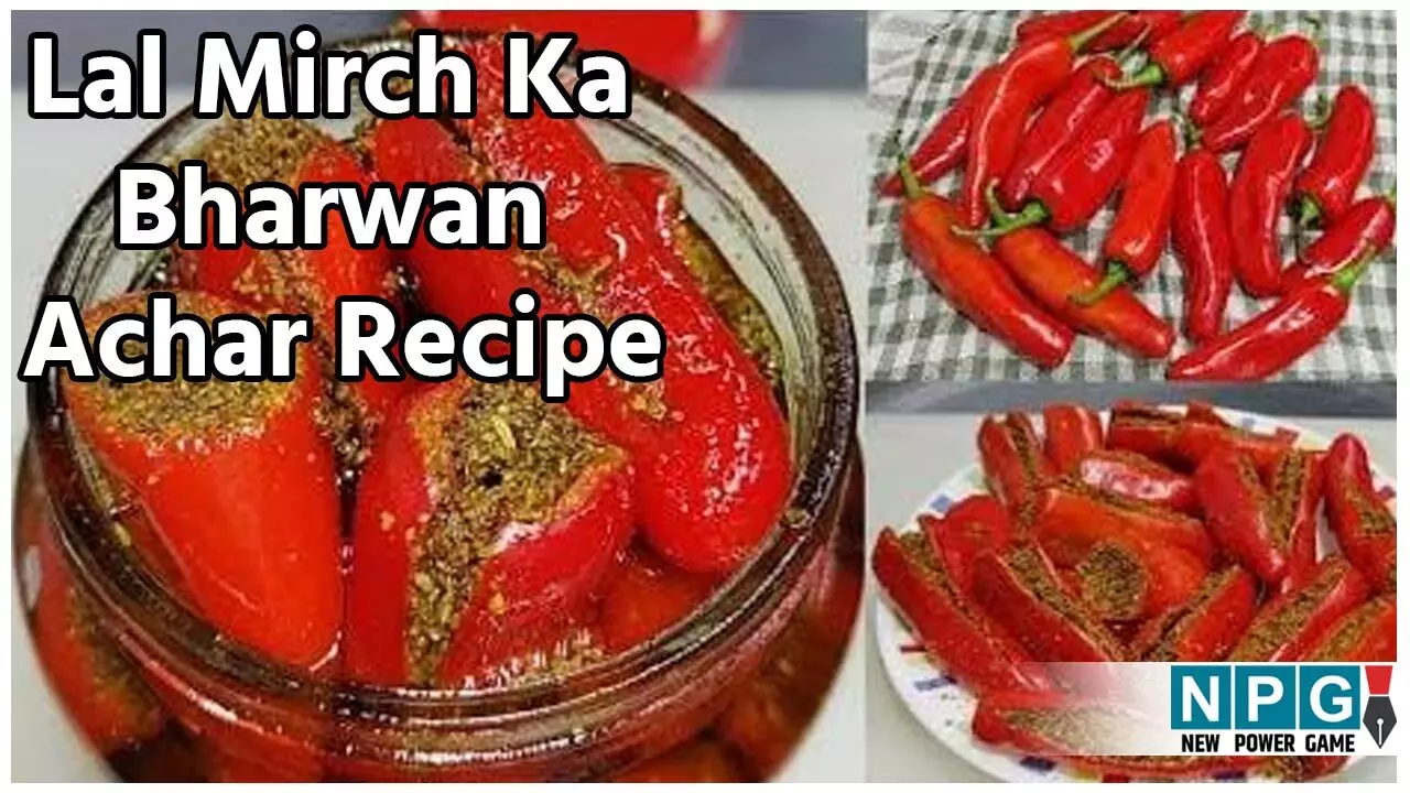 Lal Mirch Ka Bharwan Achar Recipe: यूपी-बिहार के अंदाज में इस बार बनाइये लाल मिर्च का भरवां अचार, एक बार बनाइये, सालों मजा लीजिए... Lal Mirch Ka Bharwan Achar Recipe: यूपी-बिहार के अंदाज में इस बार बनाइये लाल मिर्च का भरवां अचार, एक बार बनाइये, सालों मजा लीजिए...