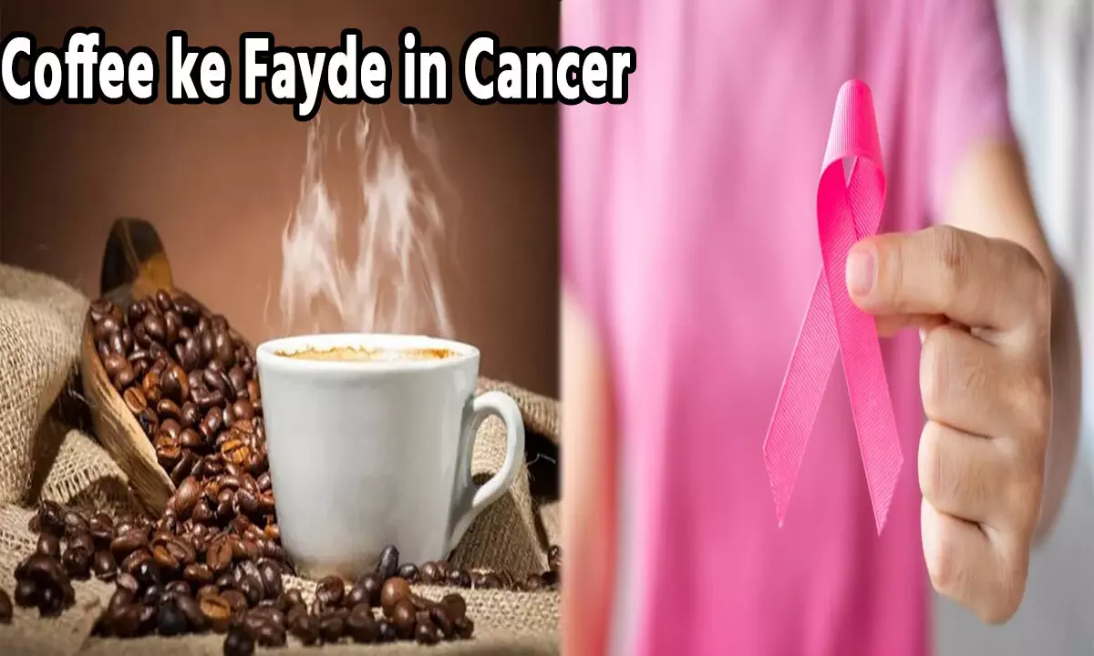 Coffee ke Fayde in Cancer: क्या आप जानते है कैंसर से बचाता है कॉफी, नहीं मालूम है आपको, तो जानिए यहां... Coffee ke Fayde in Cancer: क्या आप जानते है कैंसर से बचाता है कॉफी, नहीं मालूम है आपको, तो जानिए यहां...