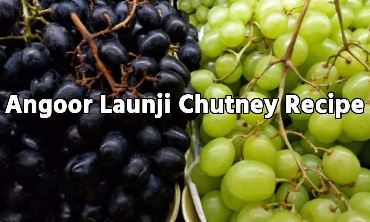Angoor Launji Chutney Recipe: जोरदार तीखी और थोड़ी खट्टी... हरे और काले अंगूर से ऐसे बनाए लौंजी चटनी, एक बार टेस्टी करते ही बनेगे बार-बार, जानिए... Angoor Launji Chutney Recipe: जोरदार तीखी और थोड़ी खट्टी... हरे और काले अंगूर से ऐसे बनाए लौंजी चटनी, एक बार टेस्टी करते ही बनेगे बार-बार, जानिए...