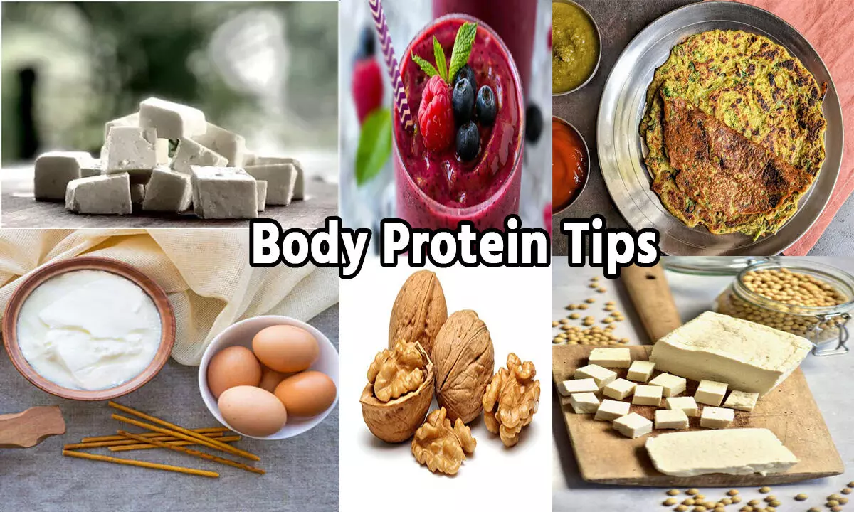 Body Protein Tips: क्या आपके शरीर में हो गई है प्रोटीन की कमी, नाश्ते में शामिल करें ये 8 हेल्दी फूड्स, जानिए... Body Protein Tips: क्या आपके शरीर में हो गई है प्रोटीन की कमी, नाश्ते में शामिल करें ये 8 हेल्दी फूड्स, जानिए...