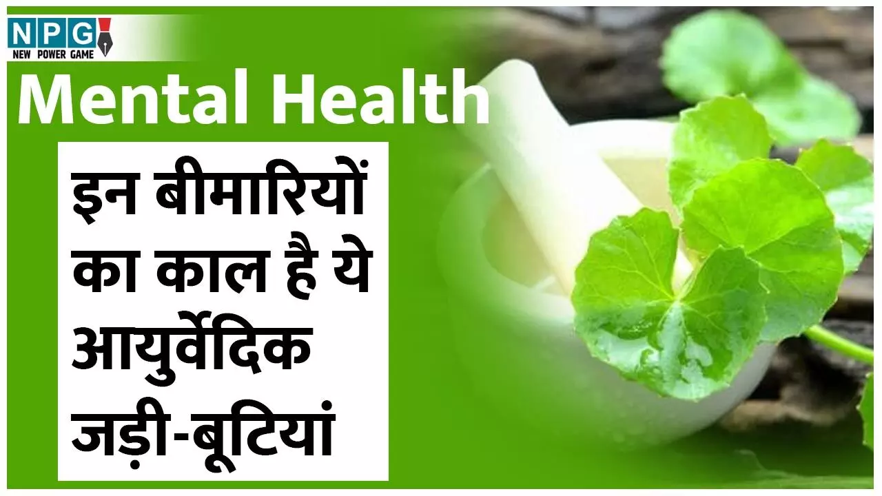 Mental Health: मानसिक बीमारियों का काल हैं ये आयुर्वेदिक जड़ी-बूटियां, घर बैठे मिलेगी राहत...