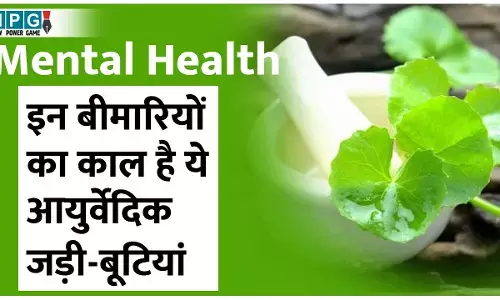 Mental Health: मानसिक बीमारियों का काल हैं ये आयुर्वेदिक जड़ी-बूटियां, घर बैठे मिलेगी राहत...