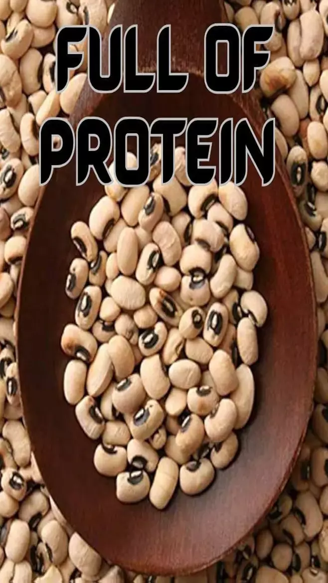 Health Benefits Of Lobia: लोबिया है वेजिटेरियन्स के लिए प्रोटीन का पावर हाउस, जानिए वजन घटाने से लेकर घातक बीमारियों में लोबिया के फायदे