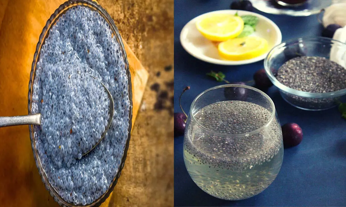 Chia Seeds: क्या है चिया एग? स्वस्थ के लिए बेहतरीन है इसका सेवन, जानिए इसके सुपर फायदे... Chia Seeds: क्या है चिया एग? स्वस्थ के लिए बेहतरीन है इसका सेवन, जानिए इसके सुपर फायदे...