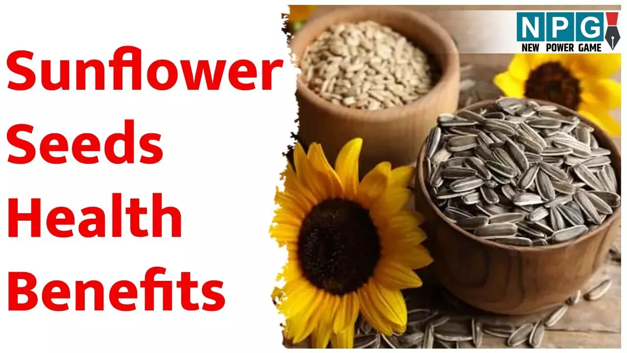 Sunflower Seeds Health Benefits: सूरज की तरह चमकेगा चेहरा, जब तन-मन को मिलेगा सूरजमुखी के बीजों का पोषण, जानिए इनके कमाल के फायदे... Sunflower Seeds Health Benefits: सूरज की तरह चमकेगा चेहरा, जब तन-मन को मिलेगा सूरजमुखी के बीजों का पोषण, जानिए इनके कमाल के फायदे...