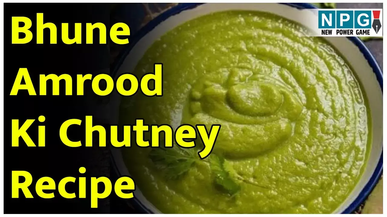 Bhune Amrood Ki Chutney Recipe: सर्दी-जुकाम हो या पेट में दर्द, तुरंत असर दिखाएगी भुने अमरूद की चटनी, पढ़िए ईज़ी रेसिपी...