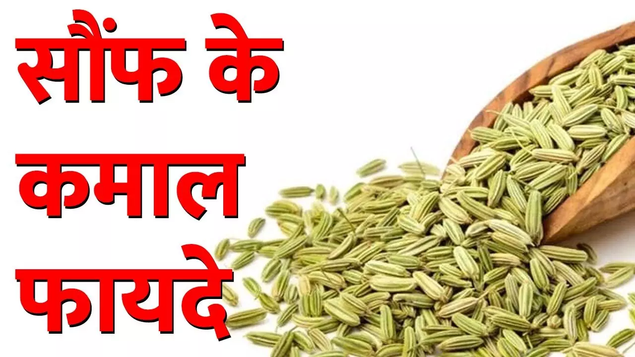 Saunf Khane Ke Fayde: रोज दो चम्मच खाइए सौंफ और रहिए अनेक बीमारियों से बेखौफ, जानिये सौंफ खाने के कमाल के फायदे...