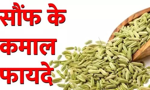 Saunf Khane Ke Fayde: रोज दो चम्मच खाइए सौंफ और रहिए अनेक बीमारियों से बेखौफ, जानिये सौंफ खाने के कमाल के फायदे...