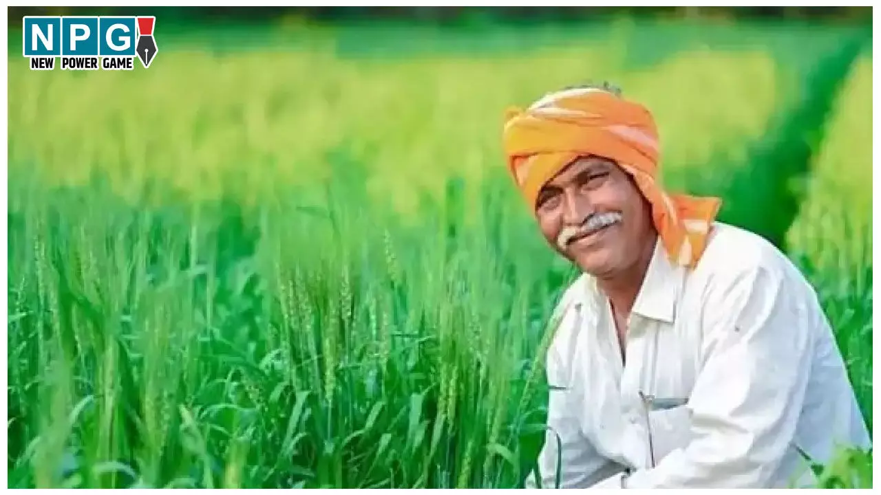 Digital Farmer ID: किसानों का बनेगा डिजिटल फार्मर आईडी, आधार से लिंक होगा कृषि भूमि Digital Farmer ID: किसानों का बनेगा डिजिटल फार्मर आईडी, आधार से लिंक होगा कृषि भूमि