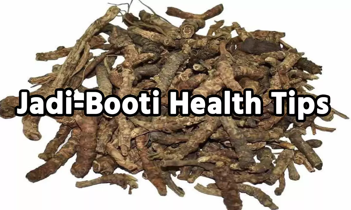 Jadi-Booti Health Tips: सेहत के लिए जादूगर है ये खास जड़ी-बूटी, कई बीमारियों को दूर करने के साथ होते है अनगिनत फायदे... Jadi-Booti Health Tips: सेहत के लिए जादूगर है ये खास जड़ी-बूटी, कई बीमारियों को दूर करने के साथ होते है अनगिनत फायदे...