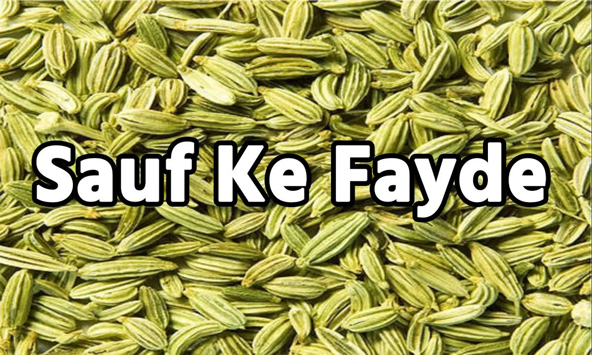 Sauf Ke Fayde: सौंफ चबाने से सेहत को मिलेंगे ये 4 फायदे, पाचन सहित इन समस्या का चुटकियों में होगा हाल...