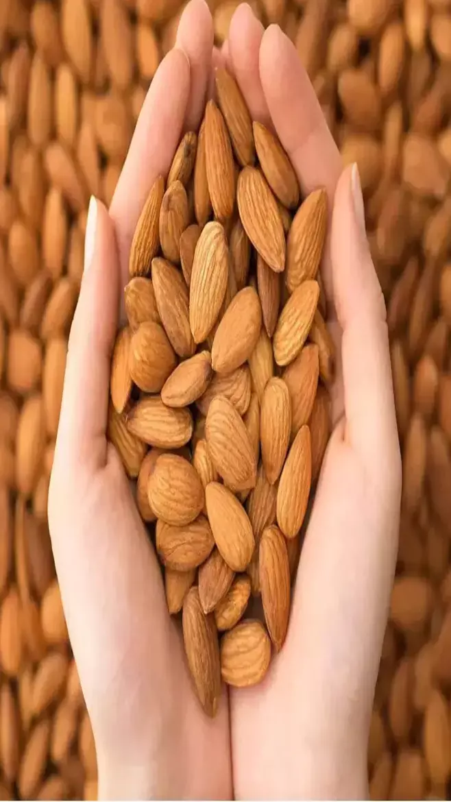 Hair Tips: क्या टूट कर बिखर रहे हैं आपके बाल, झड़ने से रोकना चाहते हैं आप, तो केराटिन और बायोटिन से भरपूर करे ये 10 चीज, जानिए...