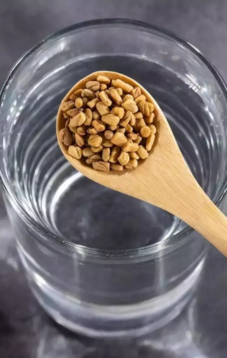 Soak These Nuts And Seeds To Get Their Amazing Benefits: भिगोने पर अमृत समान बन जाते हैं ये ड्राईफ्रूट्स और बीज, जानिये खास फायदे