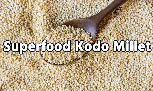 Superfood Kodo Millet: क्या है कोदो बाजरा? अगर आप भी बिना जानकारी के खा रहे है, तो जानें लीजिए इसके ये जादू वाले राज...